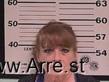 Penny Carol Davis Mugshot