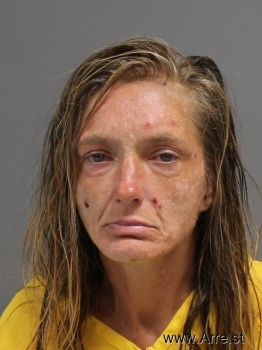 Rhonda Lynn Runnels Mugshot