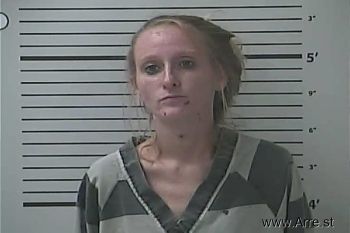 Sarah Lynn Brown Mugshot