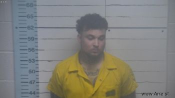 Seth Payne Williams Mugshot