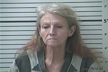 Susan Kaye Collins Mugshot