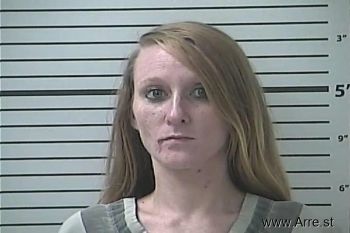 Sarah Lynn Brown Mugshot