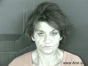 Shandy Jeanne Hallman Mugshot