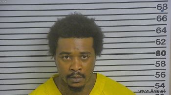 Shannon  Anderson Mugshot