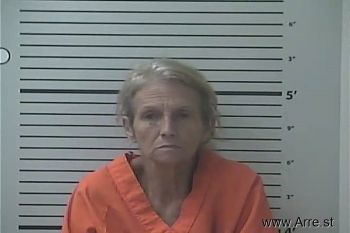 Susan Kaye Collins Mugshot