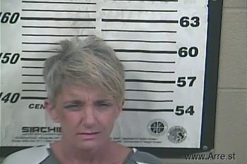 Terri  Bellipanni Mugshot