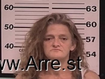 Tiffany Lynn Bryant Mugshot