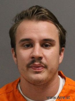 Tyler  Anderson Mugshot