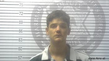 Tyler Lee Wolfe Mugshot