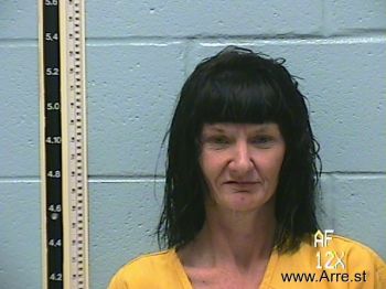 Tami Kislen Bray Mugshot