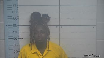 Terry Lee Sims Jr Mugshot