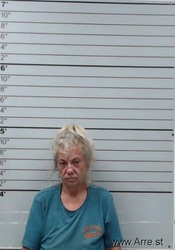 Tracy L Wolfe Mugshot