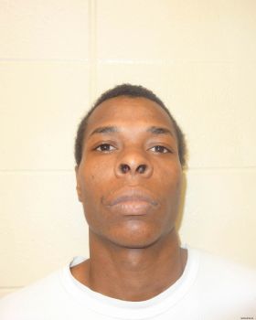 Troymain  Johnson Mugshot