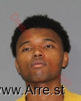 Tyler Iris Johnson Mugshot