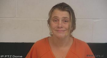 Wendy Lyn Curtis Mugshot