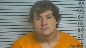Austin Mcgill Arrest Mugshot