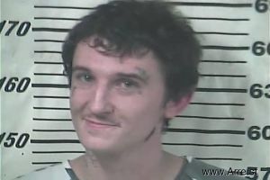 Austin Sanford Arrest Mugshot