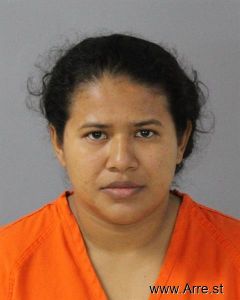 Ana Villagra-mendez Arrest Mugshot