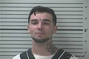 Christopher Nelson Arrest Mugshot