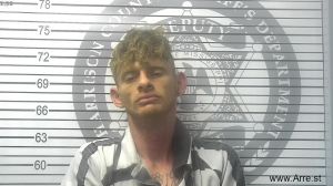 Christopher Williams Arrest Mugshot