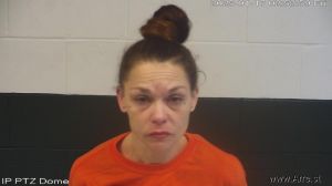 Christina Micknick Arrest Mugshot