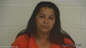 Denisa Dinga Arrest Mugshot