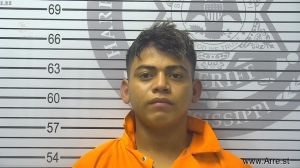 Gelver Rivas Arrest Mugshot