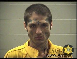 James Ladner Arrest Mugshot