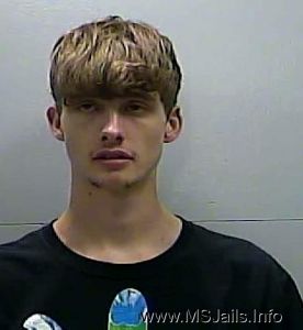 Josh  Wilemon Arrest