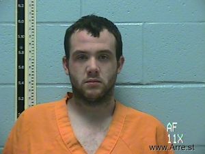 Luke Williams Arrest Mugshot