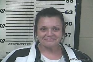 Melissa Mosley Arrest Mugshot