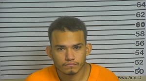 Nelson Gonzalez- Rauda Arrest