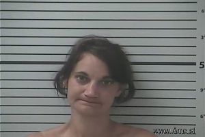 Suzanne Verdin Arrest Mugshot