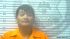 ANDREW  NGUYEN Arrest Mugshot Harrison 2023-07-02