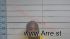 Andrew Chapman Jr Arrest Mugshot De Soto 2020-03-12