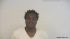 Jamareus Lewis Arrest Mugshot Marion 2023-05-22