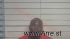 James Wilkins Arrest Mugshot De Soto 2020-05-03