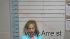 Jennifer Wilson Arrest Mugshot De Soto 2018-11-16