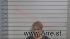 Linda Davis Arrest Mugshot De Soto 2018-12-27