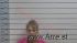 Pamela Green Arrest Mugshot De Soto 2018-11-07