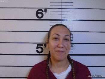 Alanna Joyce Kruger Mugshot