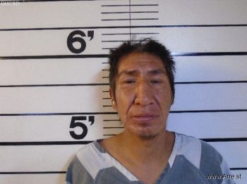 Aloysious Don Sr Bearcrane Mugshot