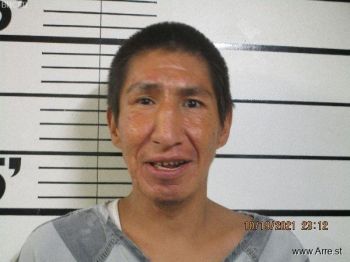 Aloysious Don Sr Bearcrane Mugshot