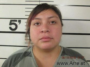 Ashlei Evelyn Rose Birdinground-whitehip Mugshot