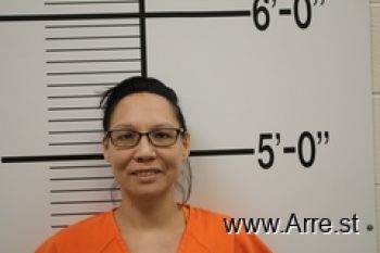 Billie Louise Boushie Mugshot