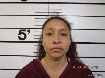 Cheryl Marie Adams Mugshot