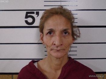 Christine  Bigman Mugshot