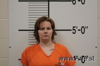 Elizabeth Marie Cook Mugshot