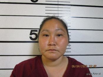 Helen Anigvun Aukon Mugshot