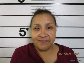 Helen Marie Nomee Mugshot